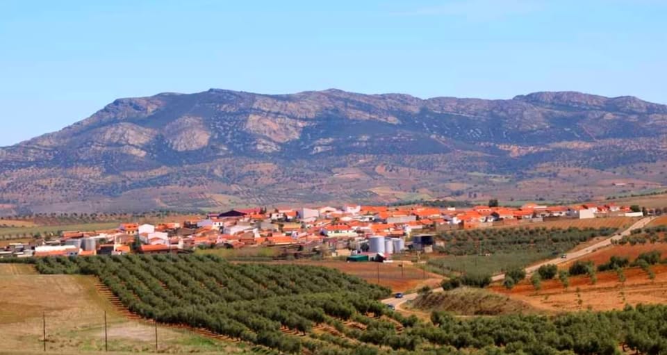 Vista de Puebla del Prior, Badajoz